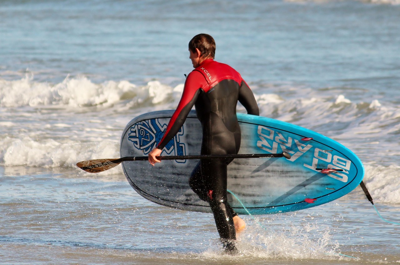 surfer, stand up paddling, sea, beach, surfboard, wet, sports, nature, wetsuit, paddle board