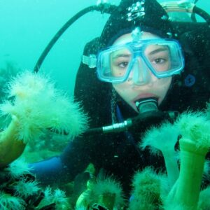 Home diving, scuba diving, bottom of the sea, coral, south argentina, nature, ocean, scuba diving, scuba diving, scuba diving, scuba diving, scuba diving