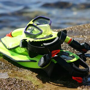 snorkle, dive, explore, mask, flippers, gear, water sports, swim, summer, green, colorful, set, nature, underwater, snorkeling, sea