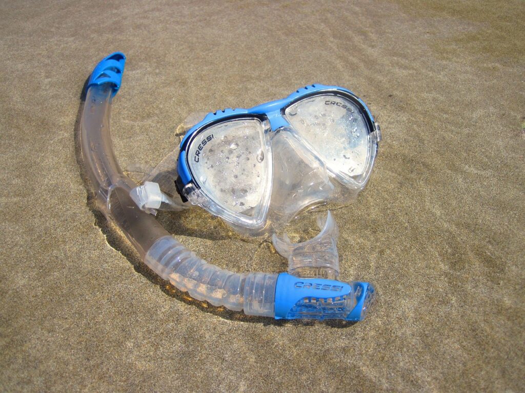 beach, dive, nature, diving, mask, sand, scuba, sea, snorkel, snorkeling, sport, summer, water, wet, brown sports
